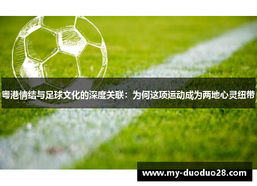 粤港情结与足球文化的深度关联:为何这项运动成为两地心灵纽带